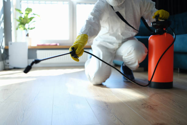 Best Pest Prevention Services  in Maurice, LA